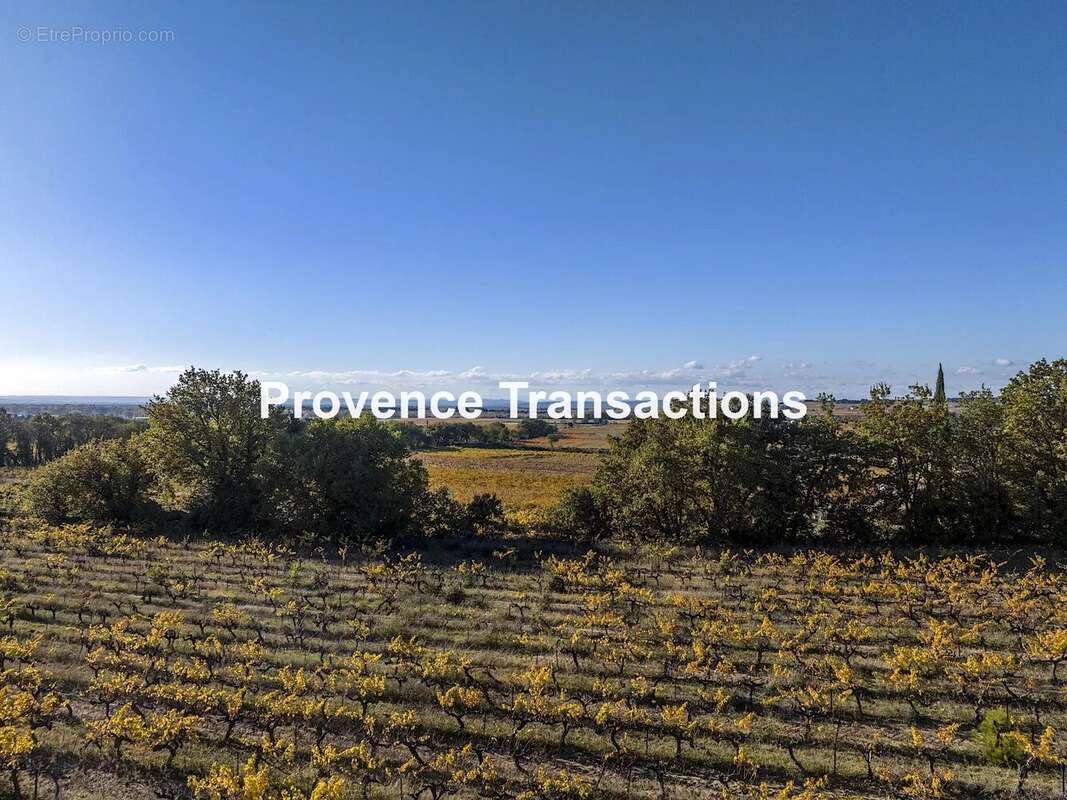 Mas vigneron sur 1,8ha de terrain - photo 9