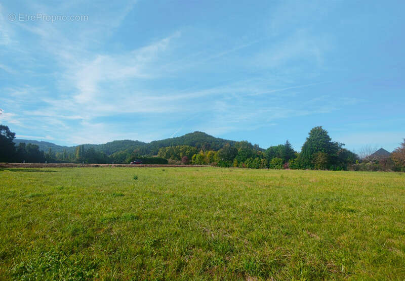 Terrain à PAZAYAC