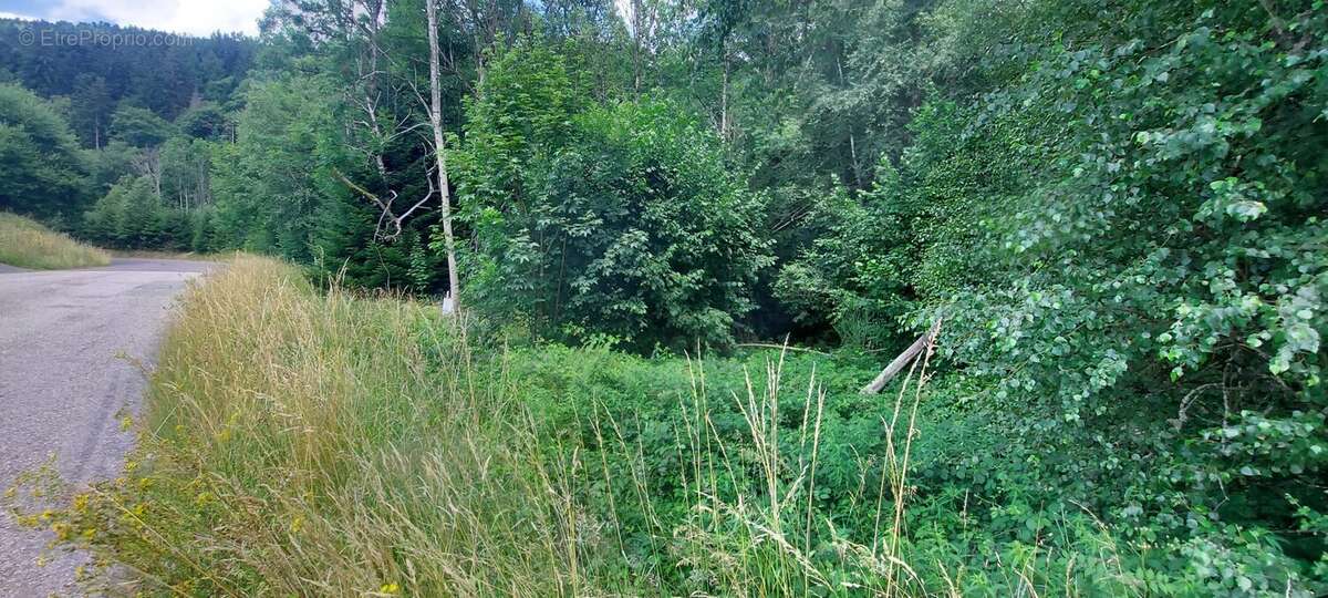Terrain à GERARDMER