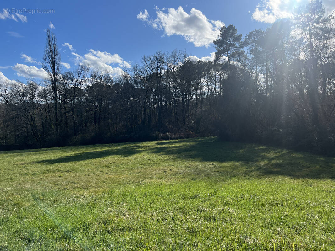Terrain à LAVEYSSIERE