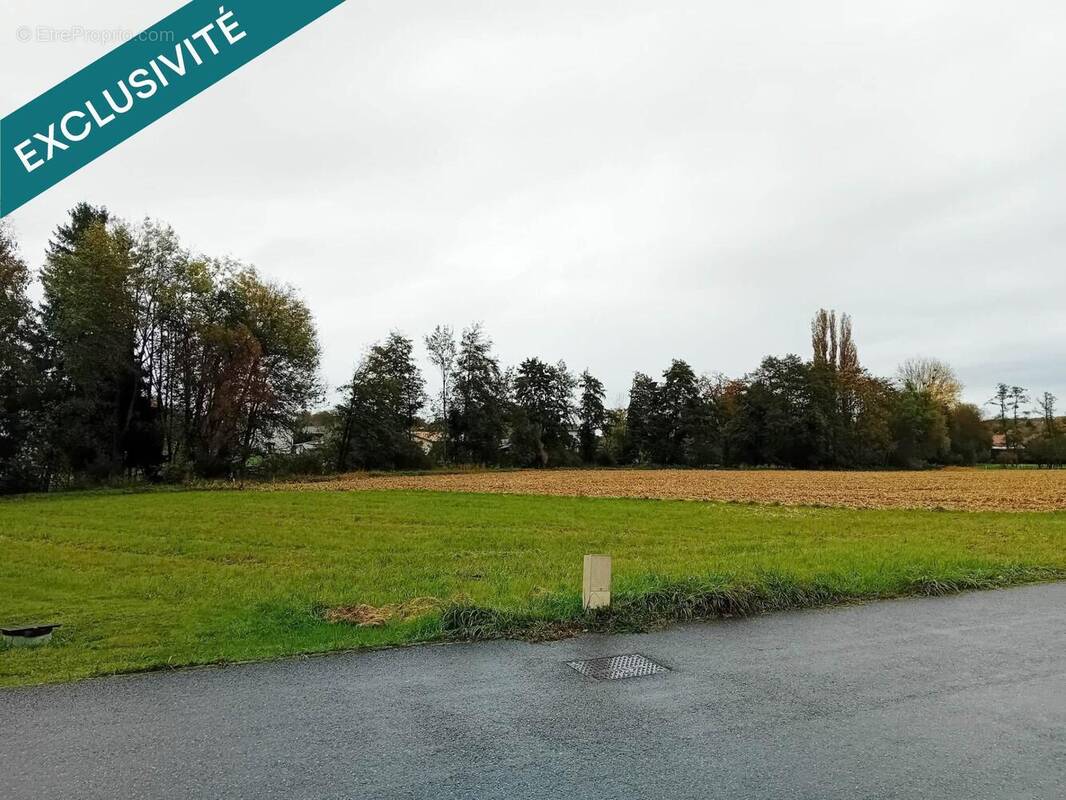 Photo 1 - Terrain à TRAUBACH-LE-HAUT