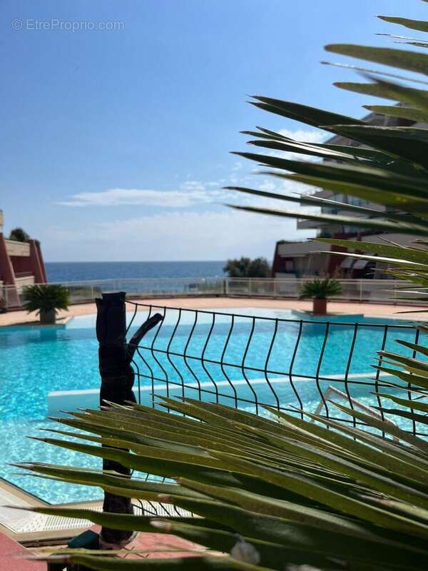 Photo 6 - Appartement à SETE