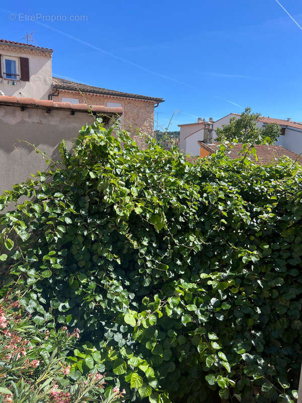 Vallauris   cœur de ville   grande maison de charme avec jardin et 2 parkings - photo 6