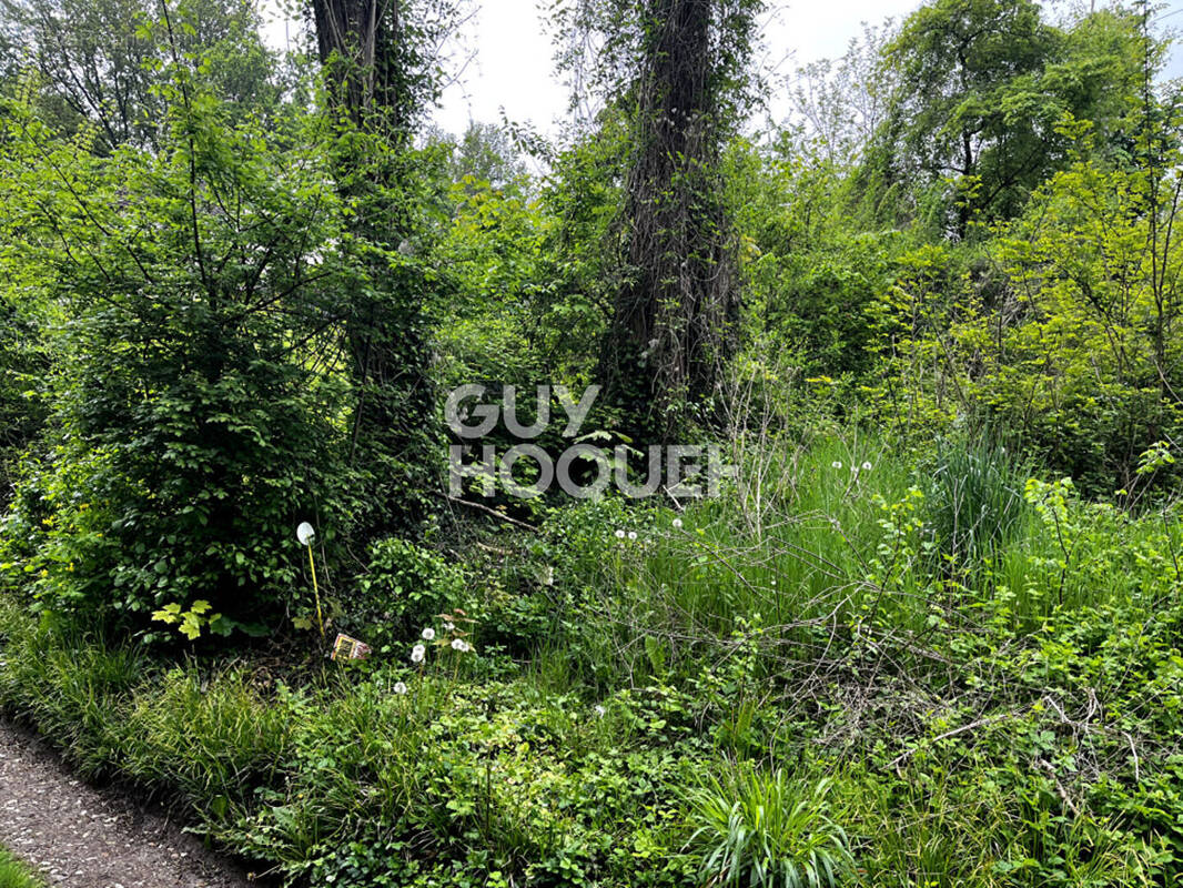 Terrain à CHALIFERT