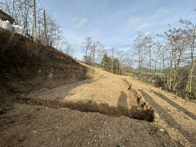 Terrain à VILLEVOCANCE