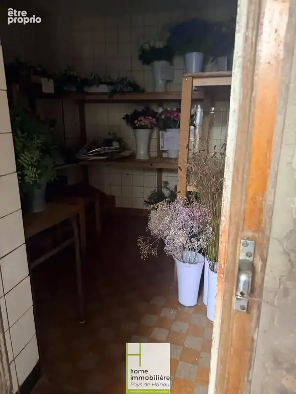 Tres bel immeuble 3 lots - photo 15