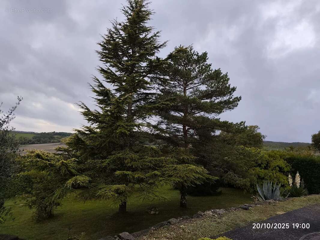 Maison à LEGUILLAC-DE-L&#039;AUCHE