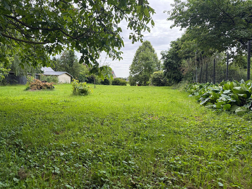 Terrain à vendre à Autremencourt - 1517 m² - photo 3