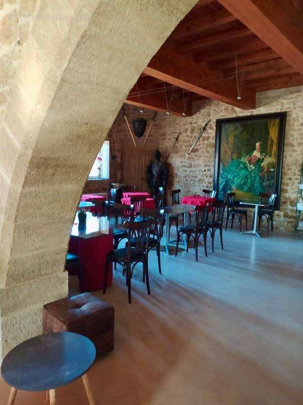 Château À Vendre - photo 23