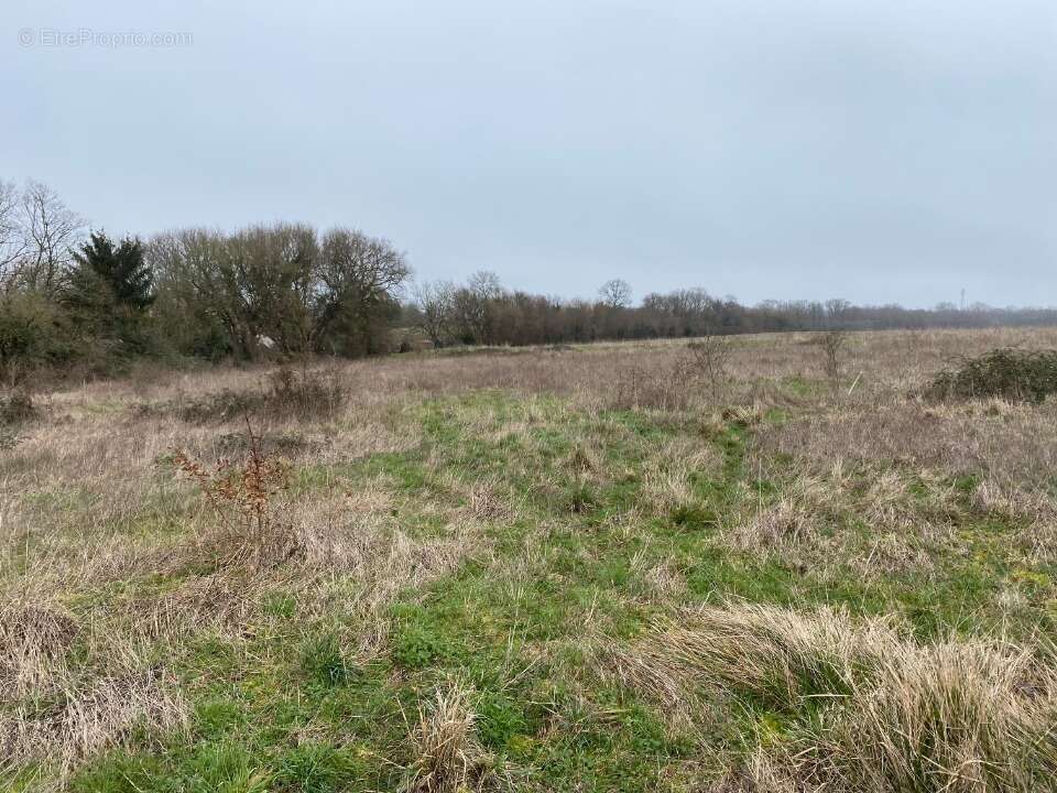 Terrain 404 m² à Pont-L'abbe-D'arnoult  - photo 2