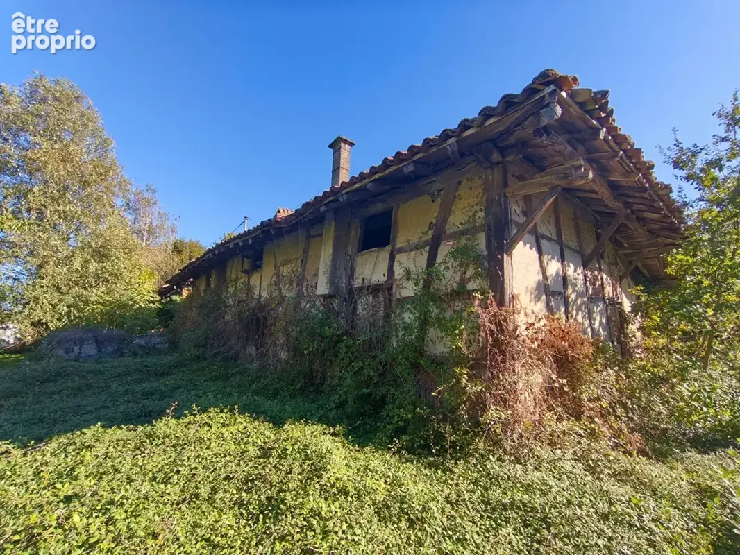 Ensemble immobilier - Polliat / St Denis les Bourg / Bourg en Bresse - photo 6