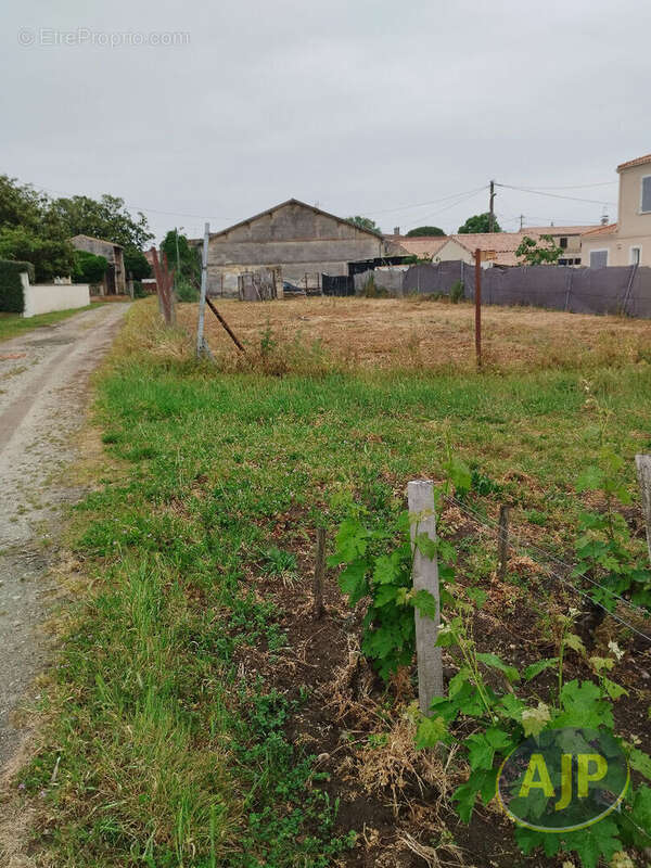 Terrain constructible Pauillac 635 m2 - photo 2