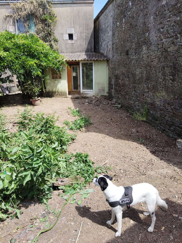 Maison à SAINT-THURIAU