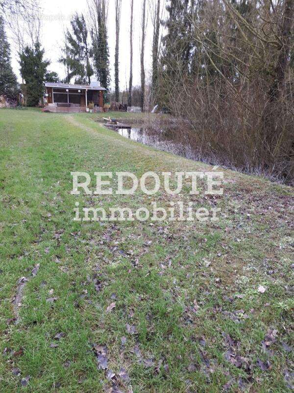 À vendre – Magnifique terrain arboré avec étang – 8 100 m² – Barby ( A 5 mins de RETHEL et à 30 mins de REIMS) - photo 4