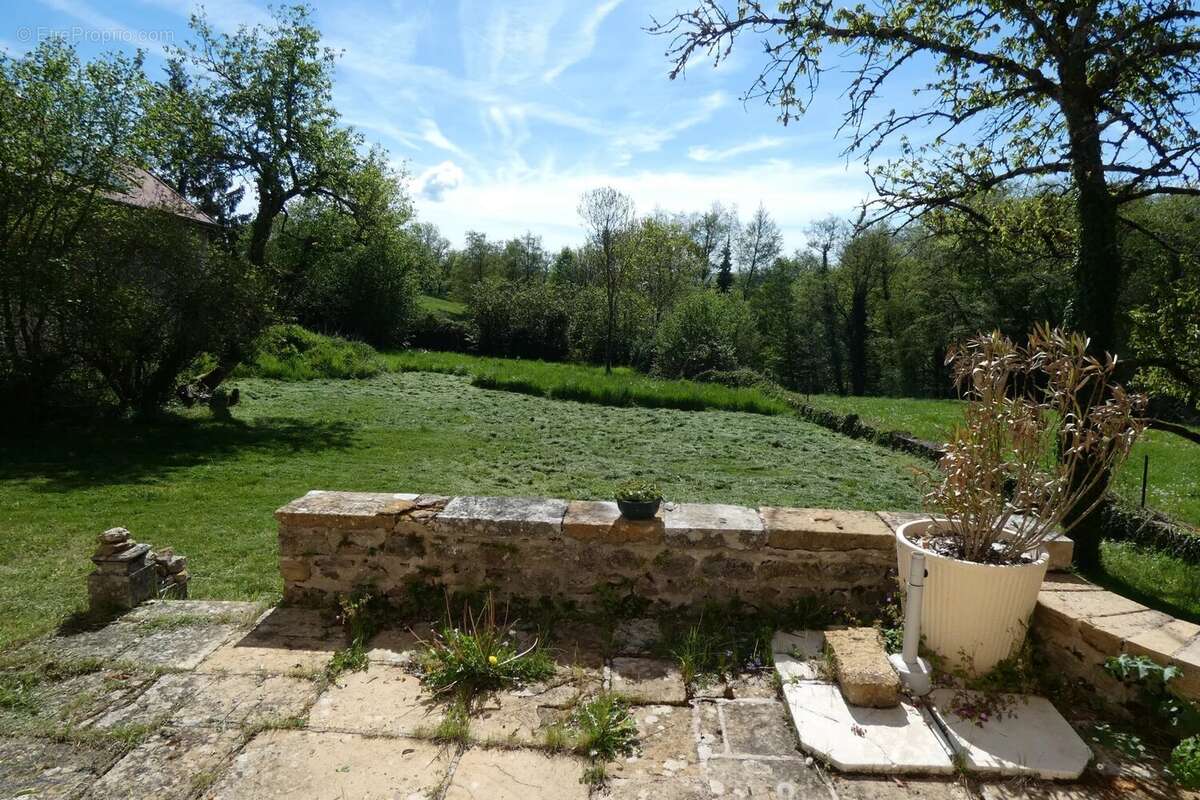 Vignoble couchois - propriété - photo 16