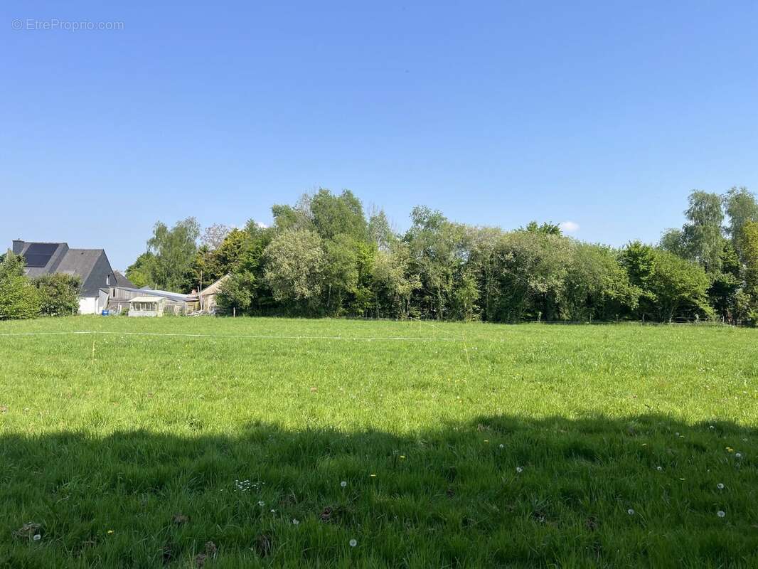 Terrain à TAUPONT