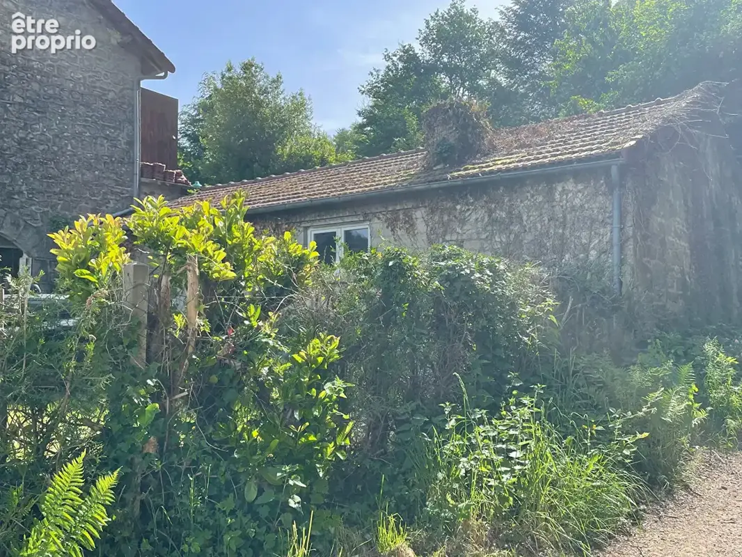 Charmante maison en pierre entourée d'un beau parc attenant. - photo 4