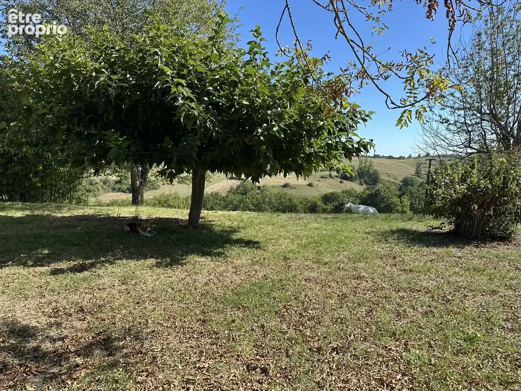 Rare fermeavec 43 ha sans voisins - photo 12