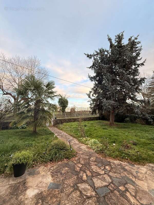 Maison à FRESSELINES