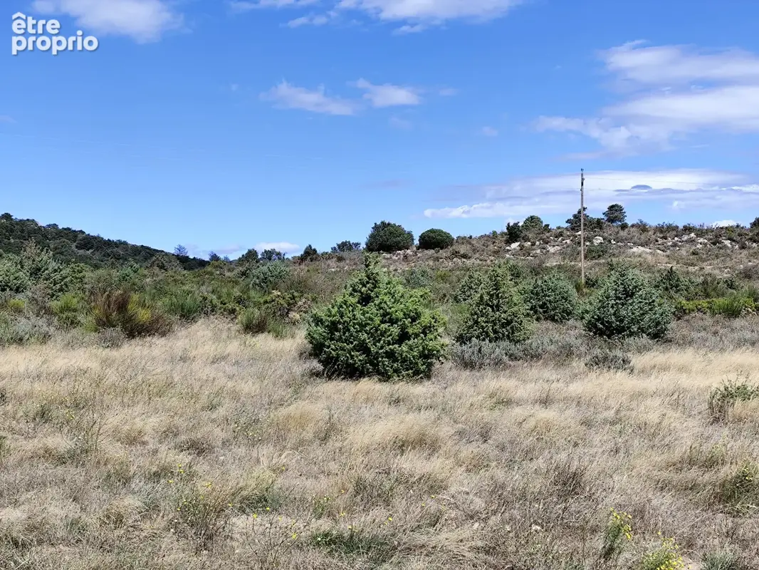 Montalba-le-chateau - terrain agricole 10 695 m2 - photo 5
