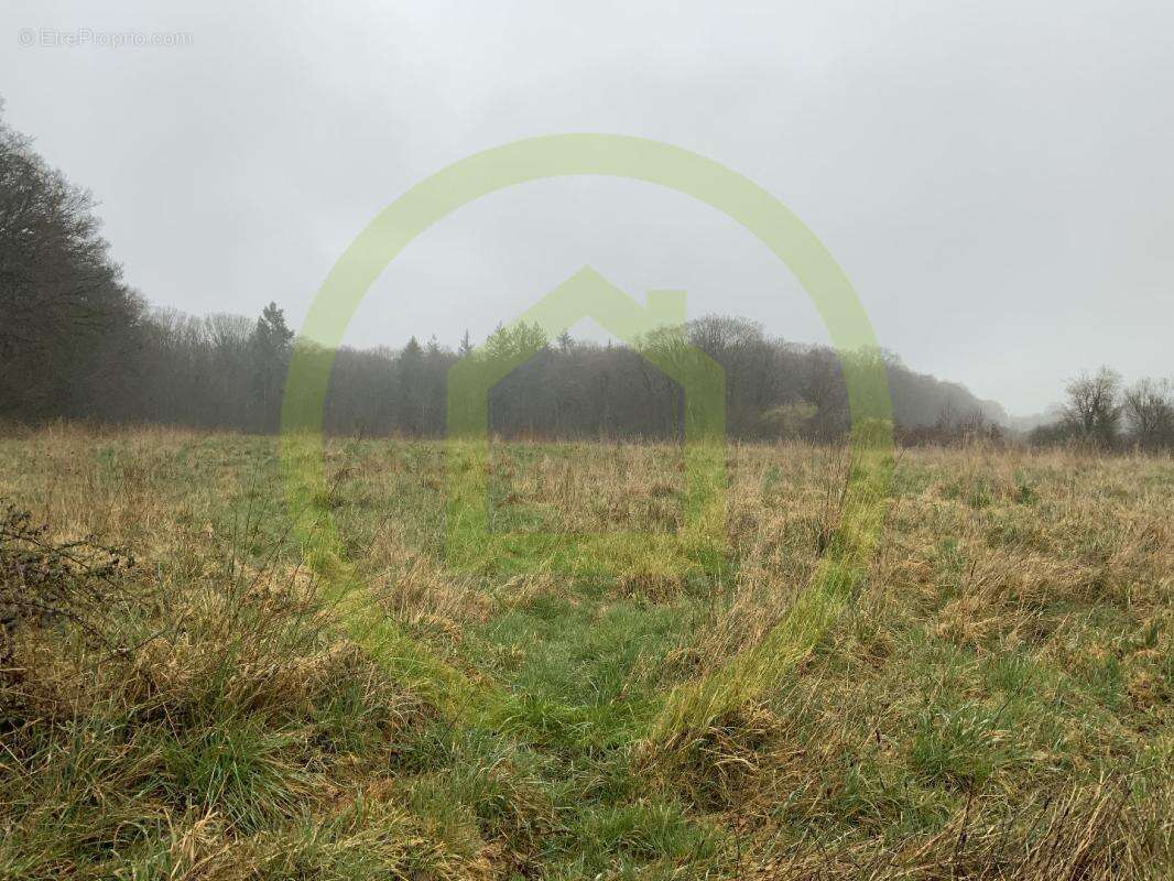 Terrain à LIGNEROLLES