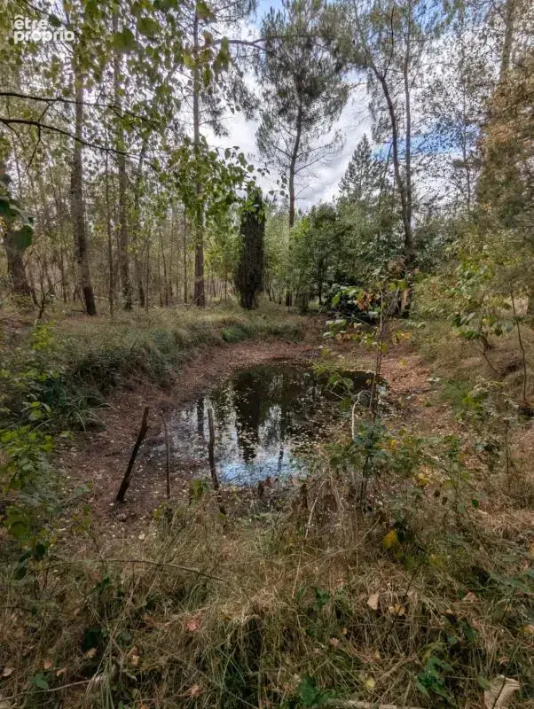Terrain à vendre de 2 187,00 m² MEZERAY (72) - photo 4