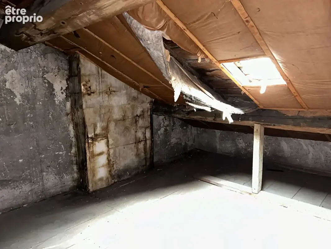 Immeuble de caractère à restructurer Gaillac centre - Projet de division 6 logements - photo 2