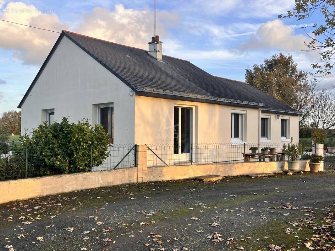 Maison à LE LION-D&#039;ANGERS