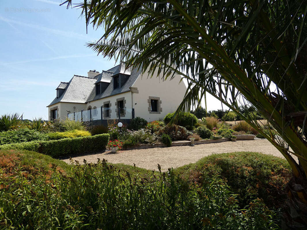 Plougasnou - Grande Maison vue mer panoramique - photo 2