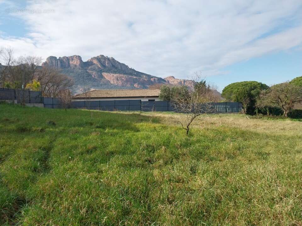 Terrain 887 m² à Roquebrune-Sur-Argens  - photo 3