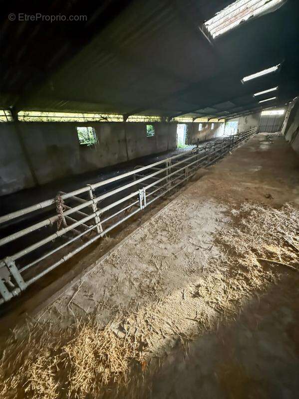 Ferme agricole au calme - photo 18