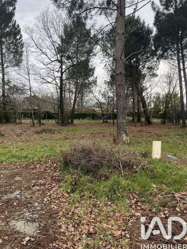 Photo 2 - Terrain à GUJAN-MESTRAS