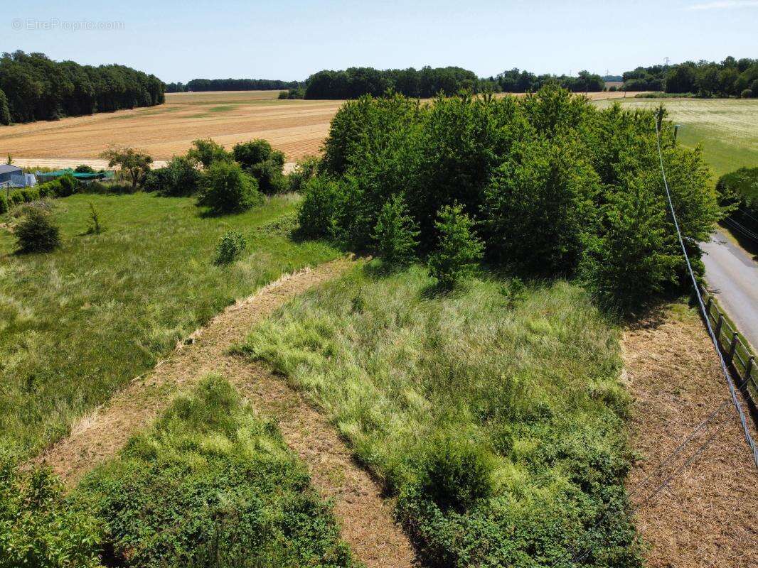 Terrain à LA MADELEINE-DE-NONANCOURT
