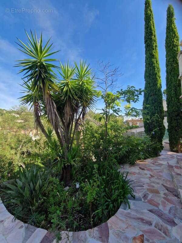 Maison à LES ISSAMBRES