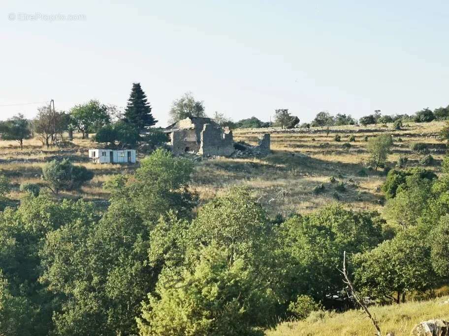 FERME - 10875 - photo 29