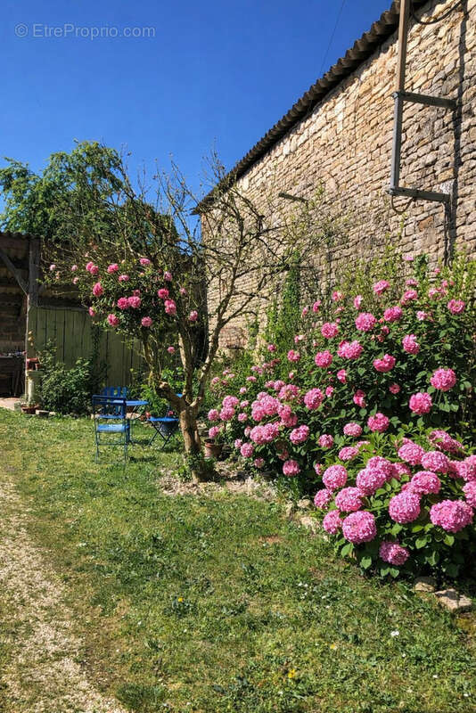 Maison à VILLEFAGNAN