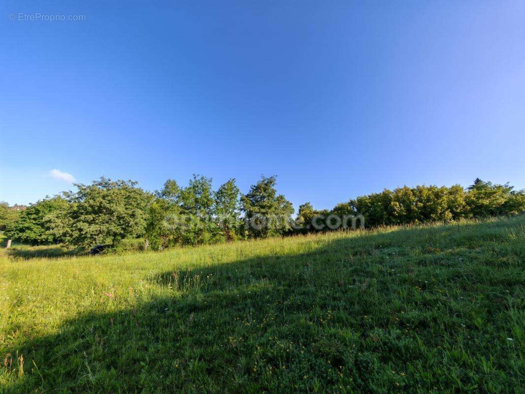BAISSE DE PRIX !! Terrain constructible de 1 650m² situé à EAUZE (32) - photo 5