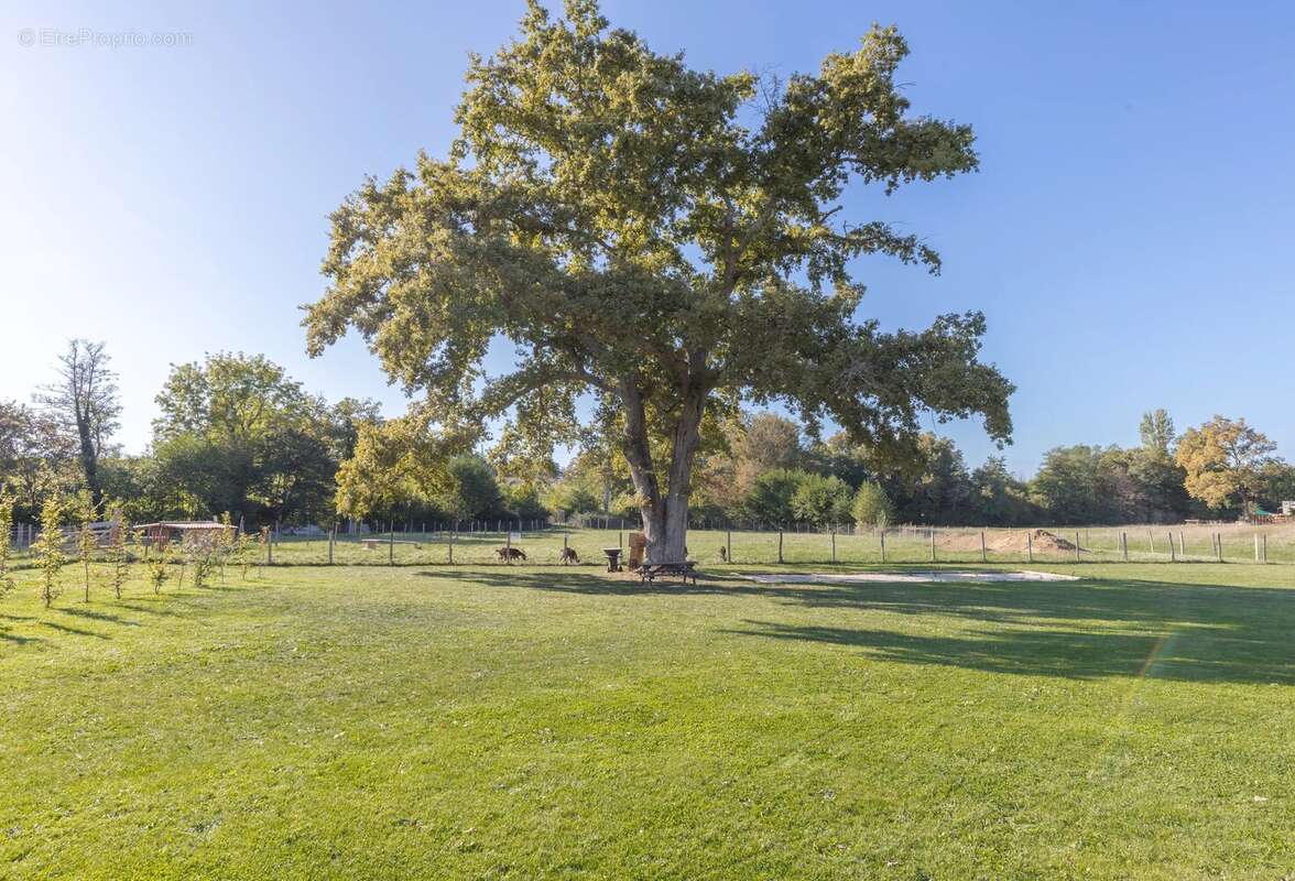 Maison à SAUVETERRE-DE-GUYENNE