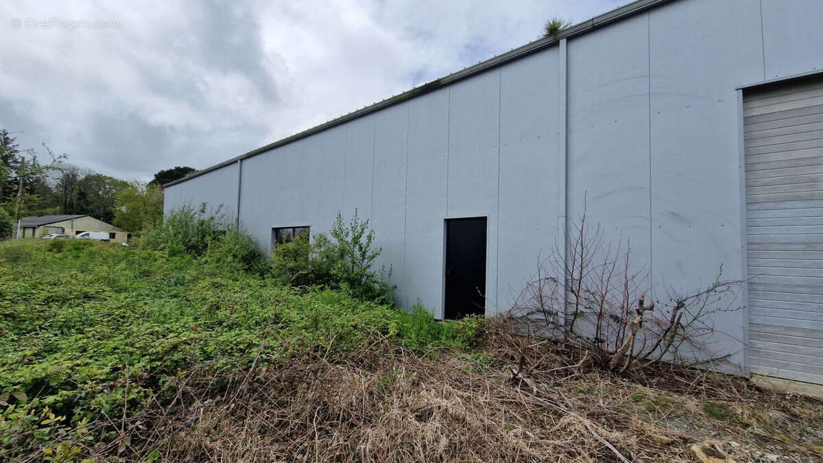 Commerce à RIEC-SUR-BELON