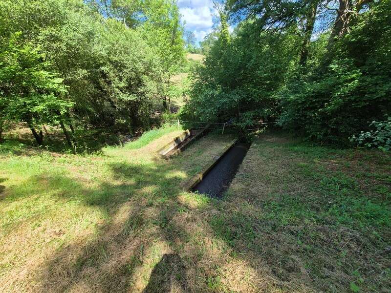 Terrain à PRESSIGNAC