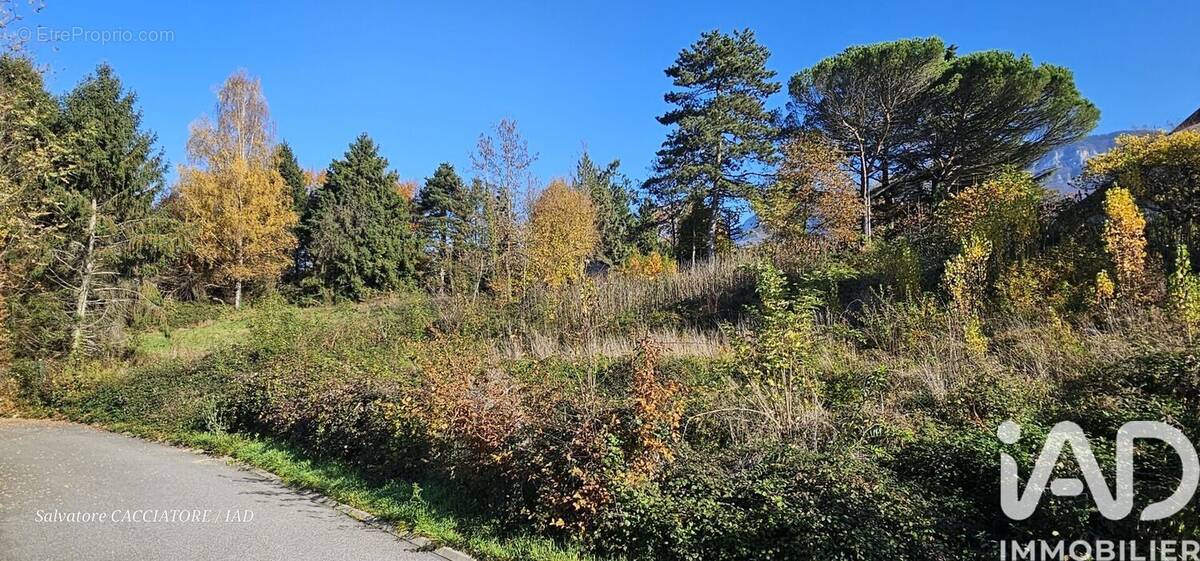 Photo 1 - Terrain à SONNAZ