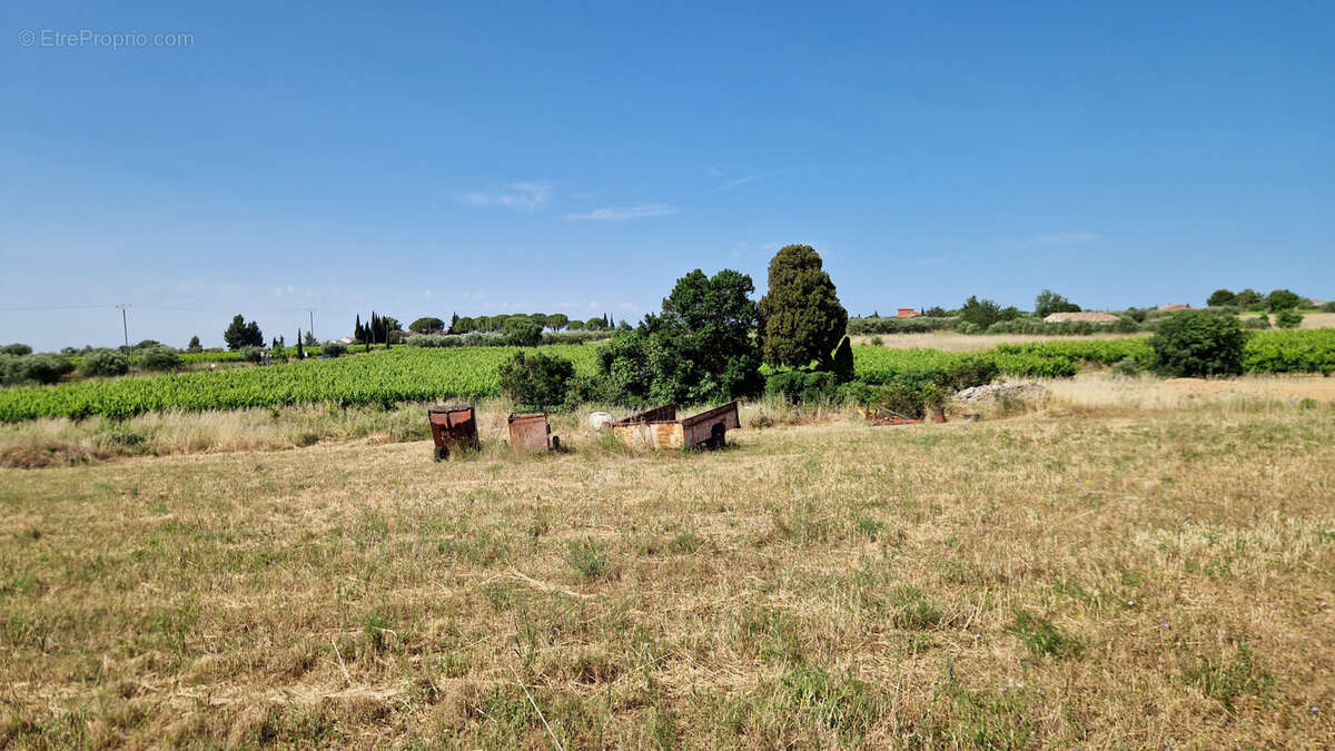Terrain à SAINT-JEAN-DE-FOS