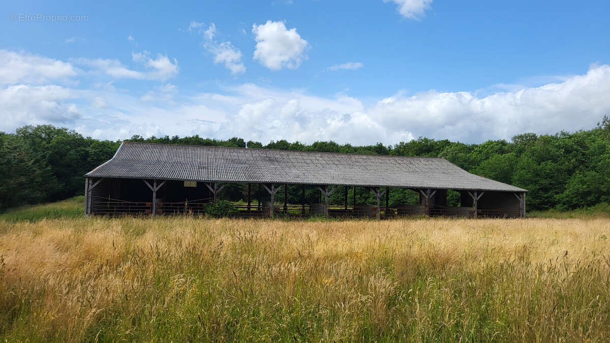 Maison à BONNOEUVRE
