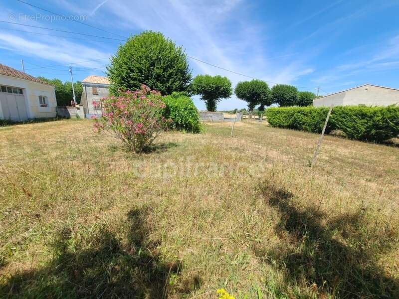 AUMAGNE – Maison de caractère à rénover, sur beau terrain de 900 m² - photo 4