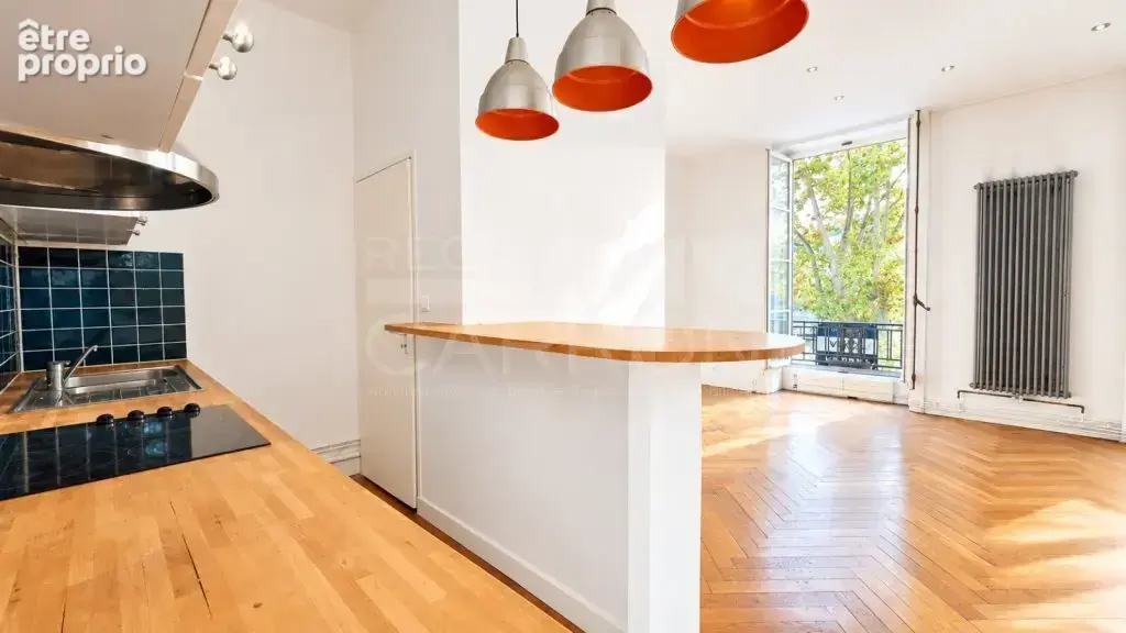 Vue sur la Saône - Appartement de caractère - photo 5