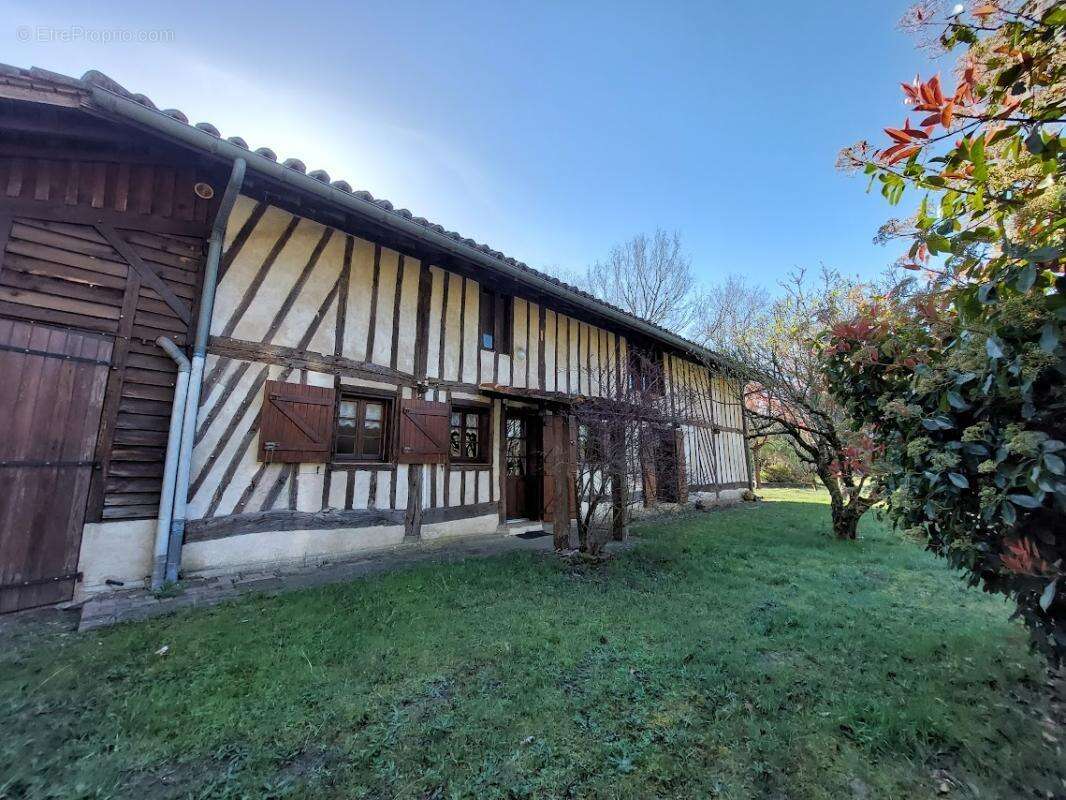 Maison Landaise entre pins et Océan - photo 18