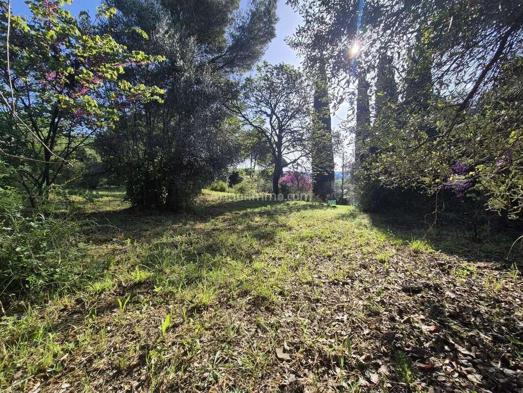 Vente Terrain Draguignan(83300) 120 000ï¿œ - photo 2