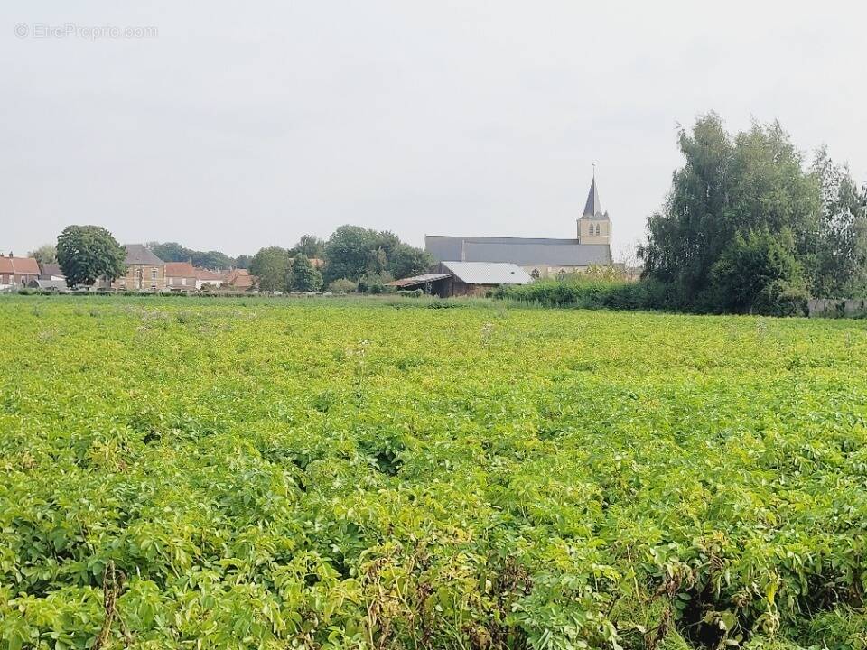 Terrain à AUDRUICQ