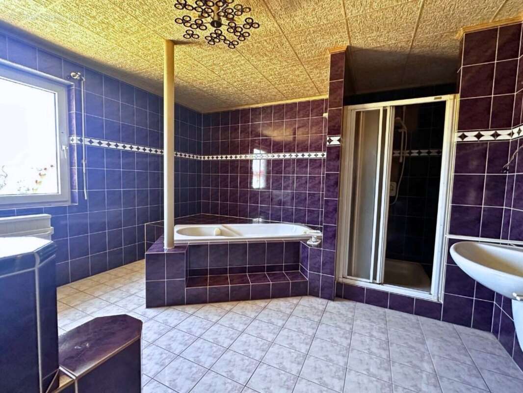 Maison 231 m² à Munchhouse  - photo 8