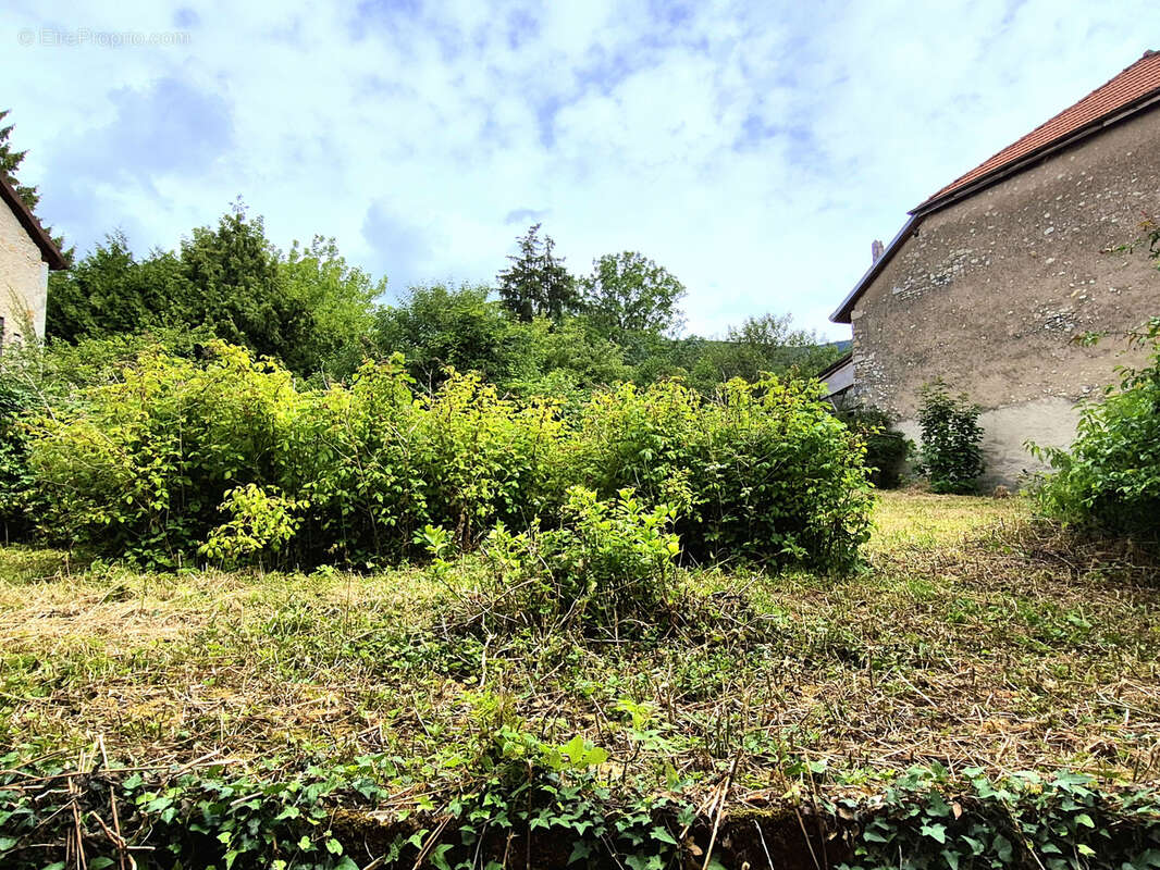 Maison à GEX